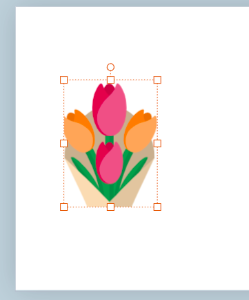 Screen_Shot_2020-03-04_at_9.19.52_AM.png