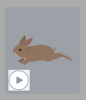 Screen_Shot_2023-04-26_at_11.49.05_AM.png